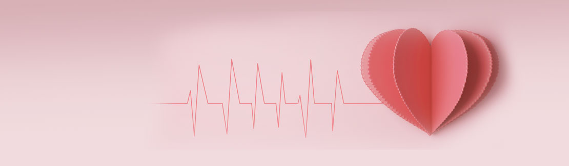 Herz, Kreislauf & Gefäße