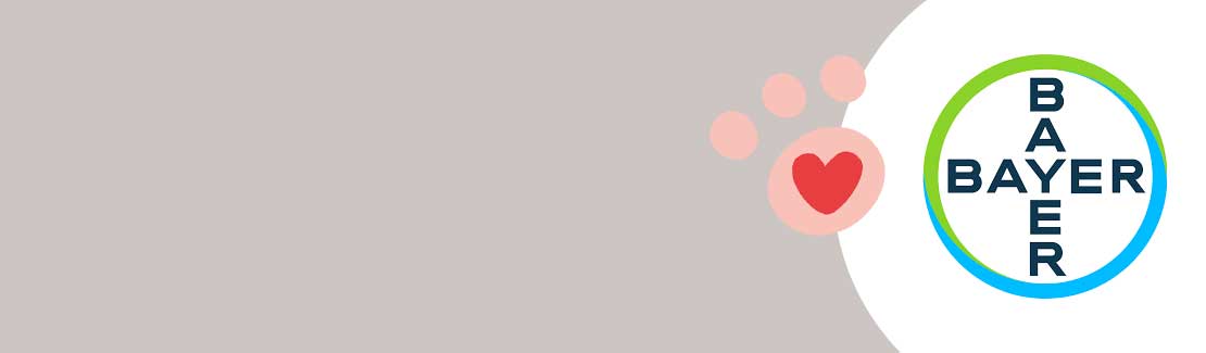 Bayer Vital Tiergesundheit