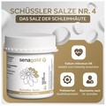 Schüssler Salz Nr. 4 Kalium chloratum D 6 (BIOCHEMIE Senagold) Tabletten