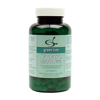 LACTASE 12.000 FCC Kapseln