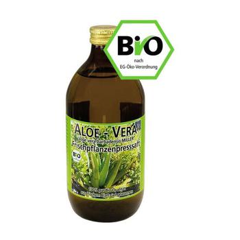 ALOE VERA FRISCHPFLANZEN Saft