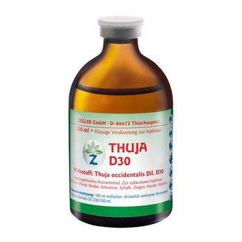 THUJA D 30 Injektionslösung vet.