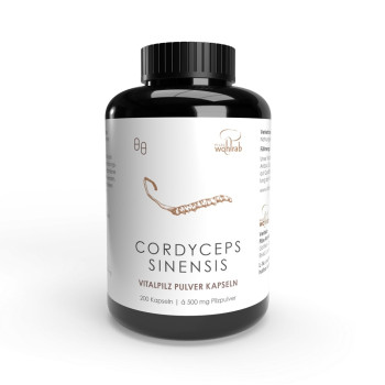 CORDYCEPS SINENSIS Vitalpilze Pulver-Kapseln